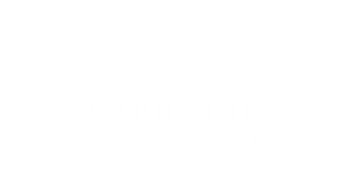Daphodil Photo 